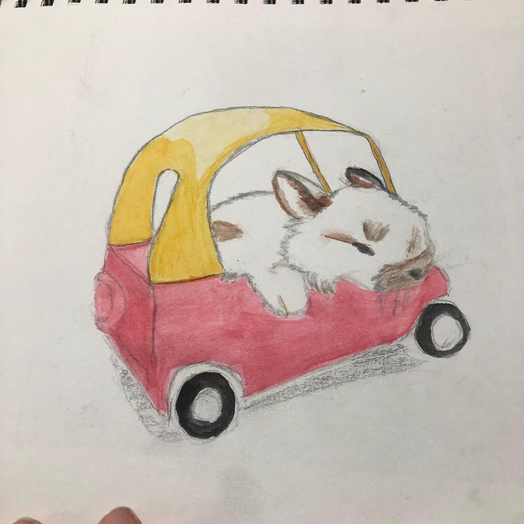 a pencil and paint image of a rabbit hanging out of a toy car